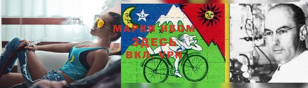 сатива Магас