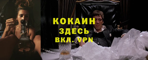сатива Магас